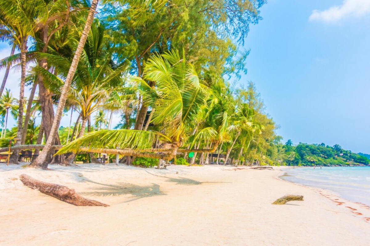 plage kitesurf en Martinique 